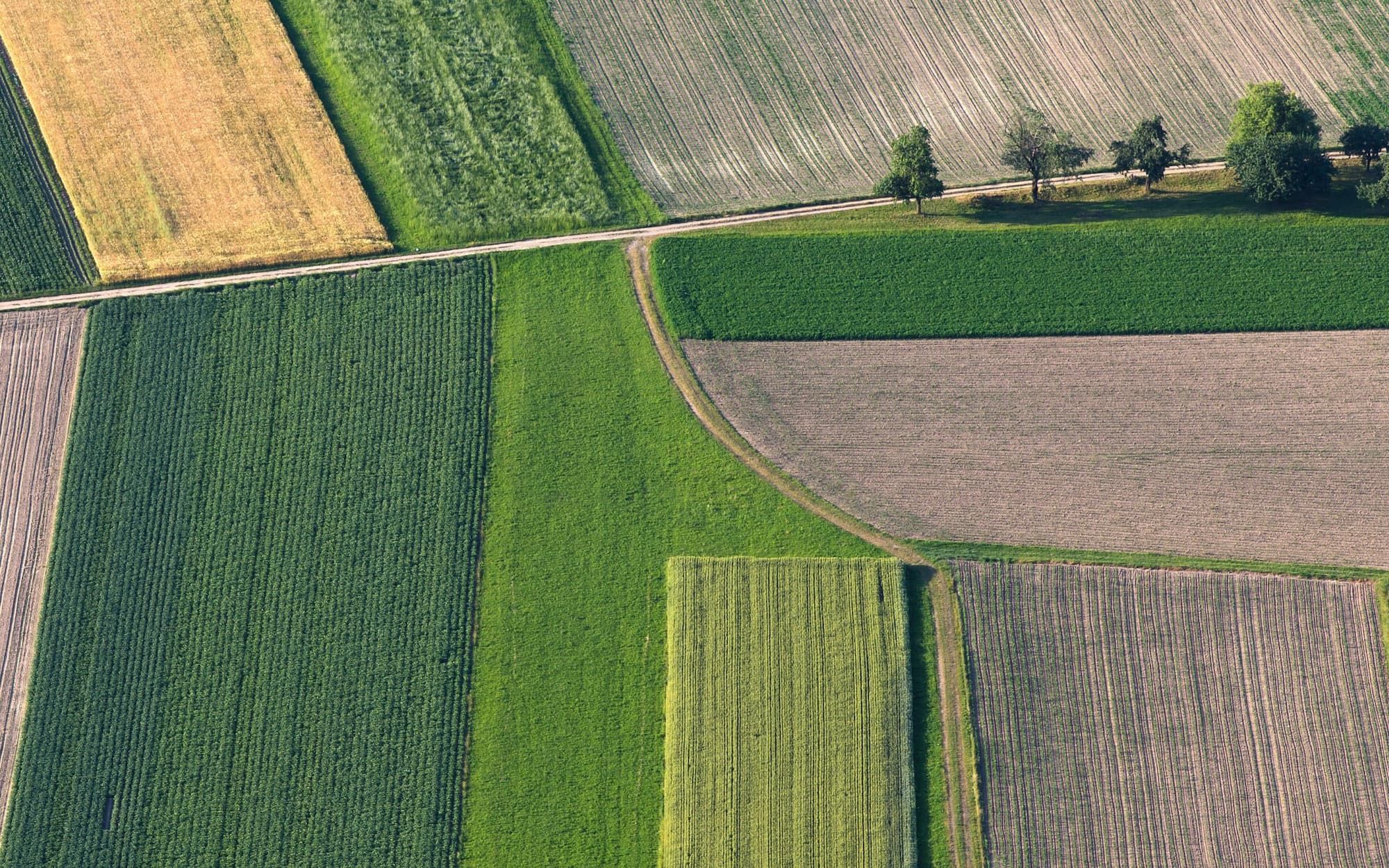 L’agriculture connectée aux marchés