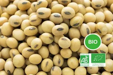 Soja food BIO