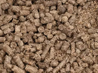 Pulpe de pois
