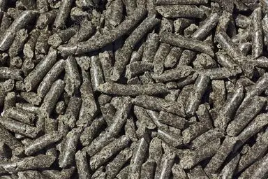 Tourteau de colza BIO 38% France