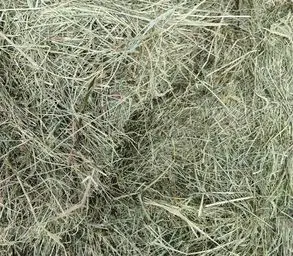 Foin de prairies naturelles Extra