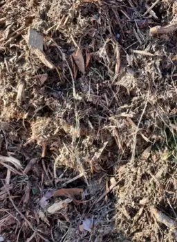 Compost de champignon 8-2-9